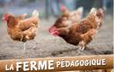 Ferme pédagogique